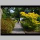 Geilston 7.JPG
